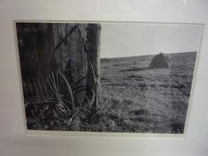 Country Field/Lancaster, Pennsylvania, 1968 Gelatin silver print 6 ¼ x 9 3/8 inches 